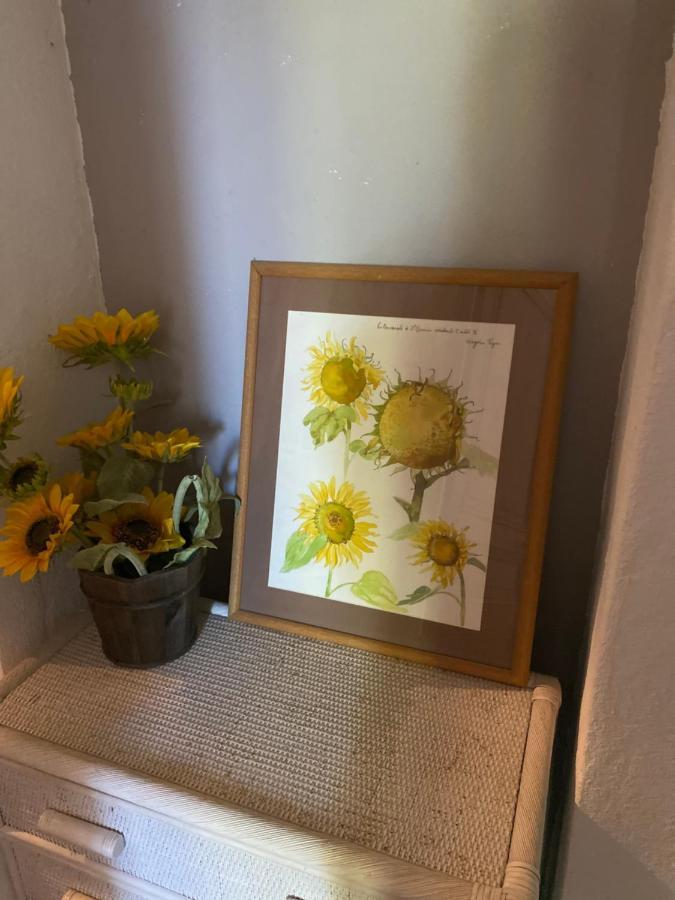 Maison Ventoux 1 Luxe Calme Central Linge Fourni Malaucène Zewnętrze zdjęcie